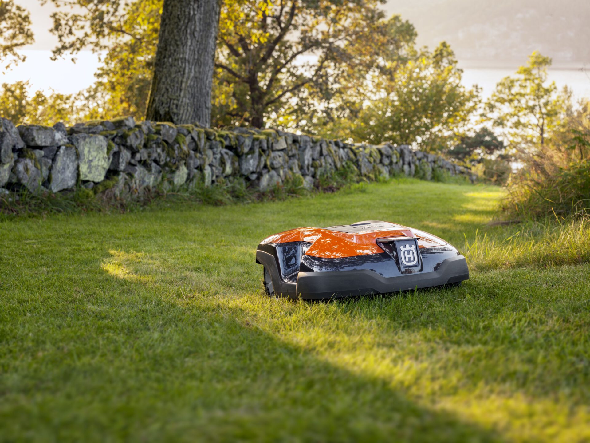 HUSQVARNA AUTOMOWER® 310 Lührs Schwarme